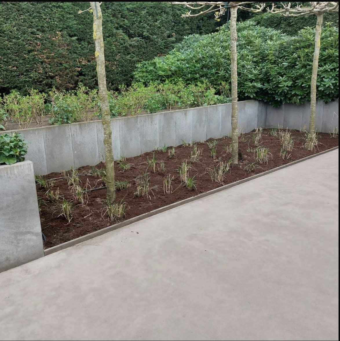 Bentveld - foto 3